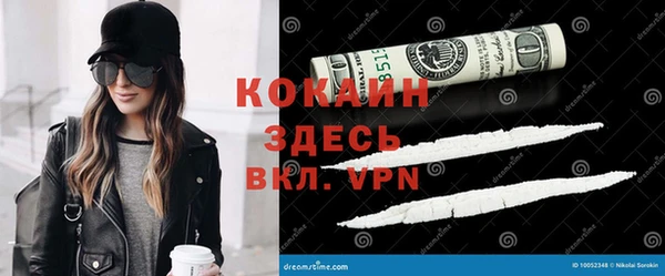 твердый Алексеевка