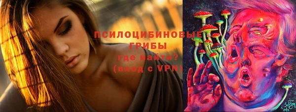 твердый Алексеевка